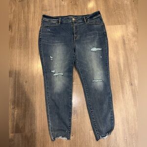 Distressed Blue Jeans 24W